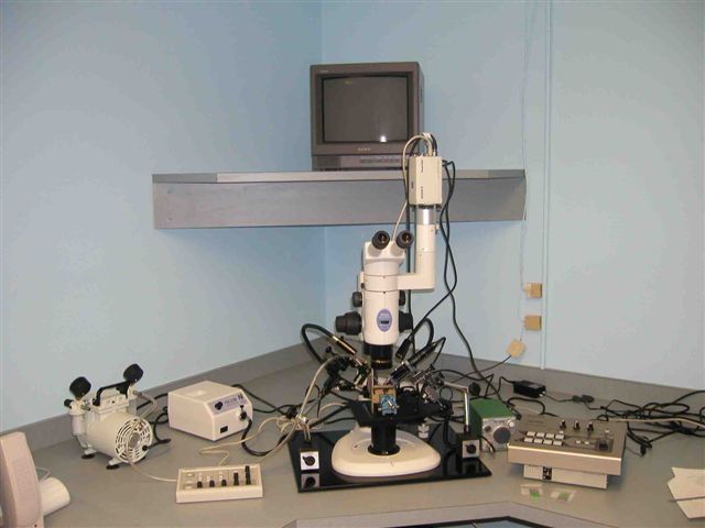 mircodrill microsampling Relion Donald Marshall CL cathodoluminscence